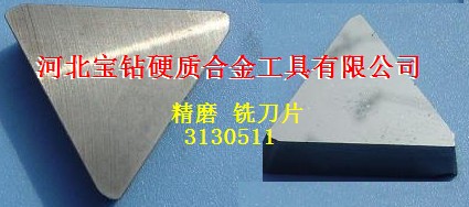 3130511ĥϳƬ